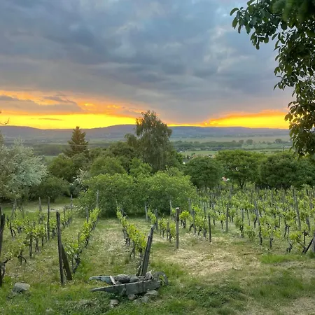 別荘 Kofal Pince 1 *