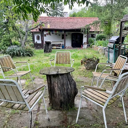 Kofal Pince 1 別荘 *