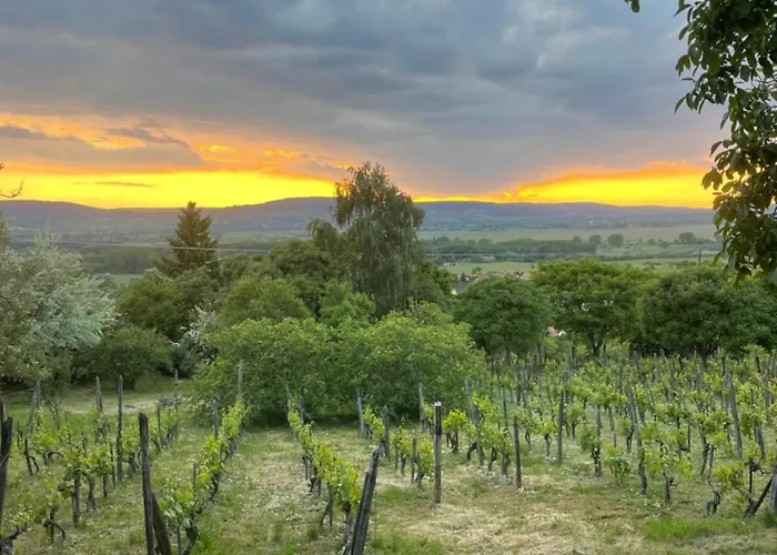 펜션 Kofal Pince 1 *