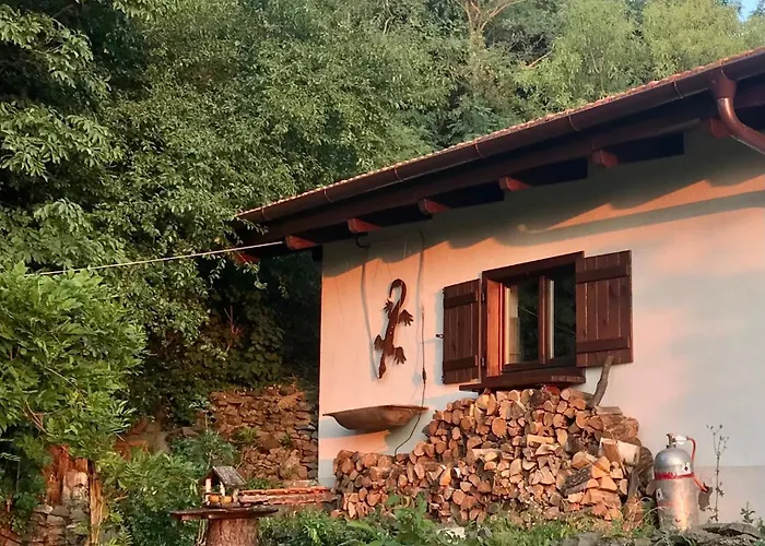 Tatil Evi Kofal Pince 1 Raposka